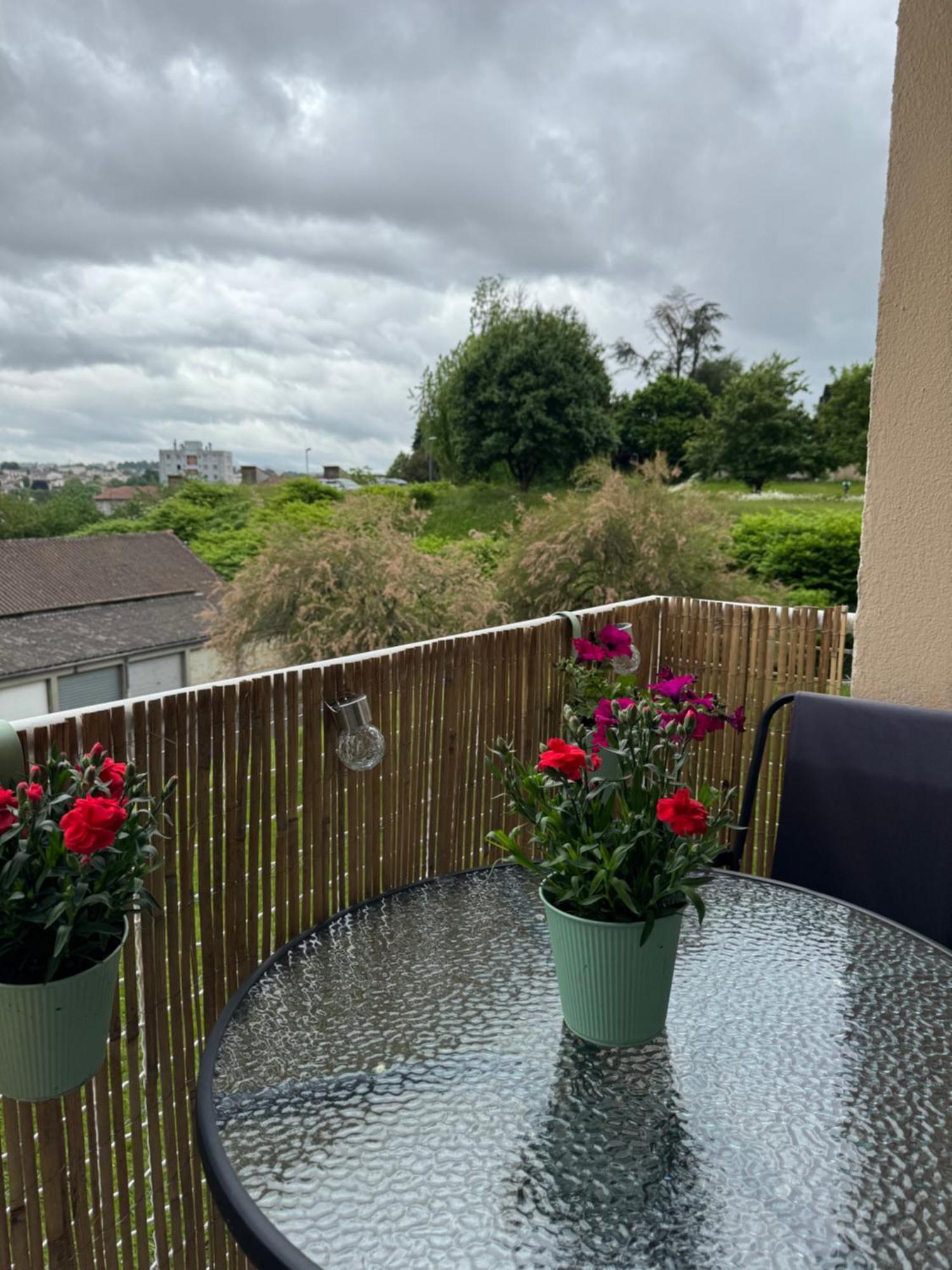 Appartement Chaleureux Et Spacieux T3 Лимож Екстериор снимка
