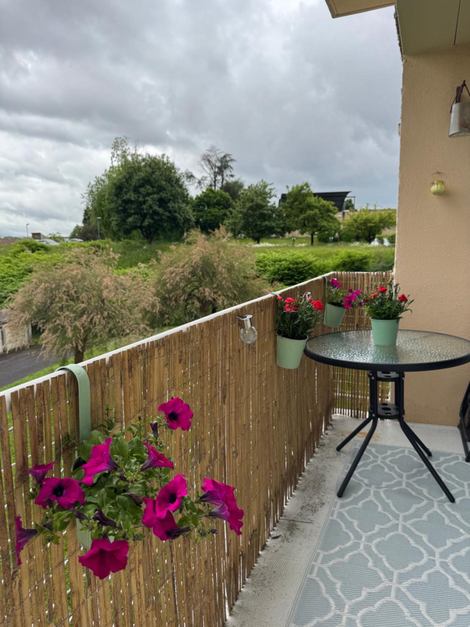 Appartement Chaleureux Et Spacieux T3 Лимож Екстериор снимка